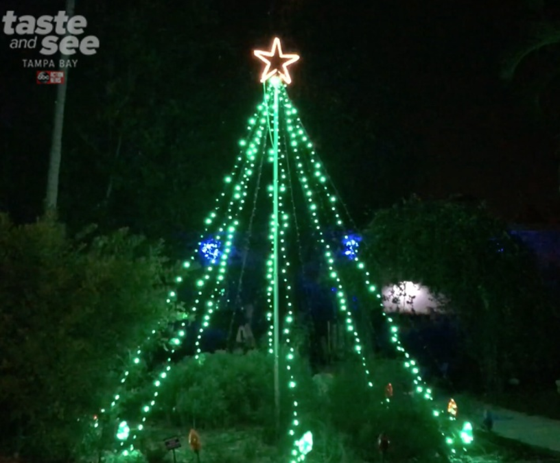 PHOTOS Christmas lights at the Florida Botanical Gardens in Largo